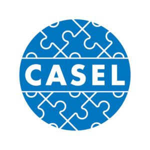 casel2