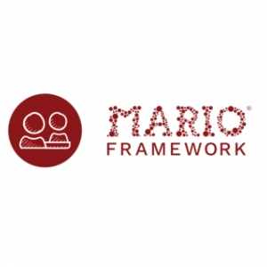 Mario Framework